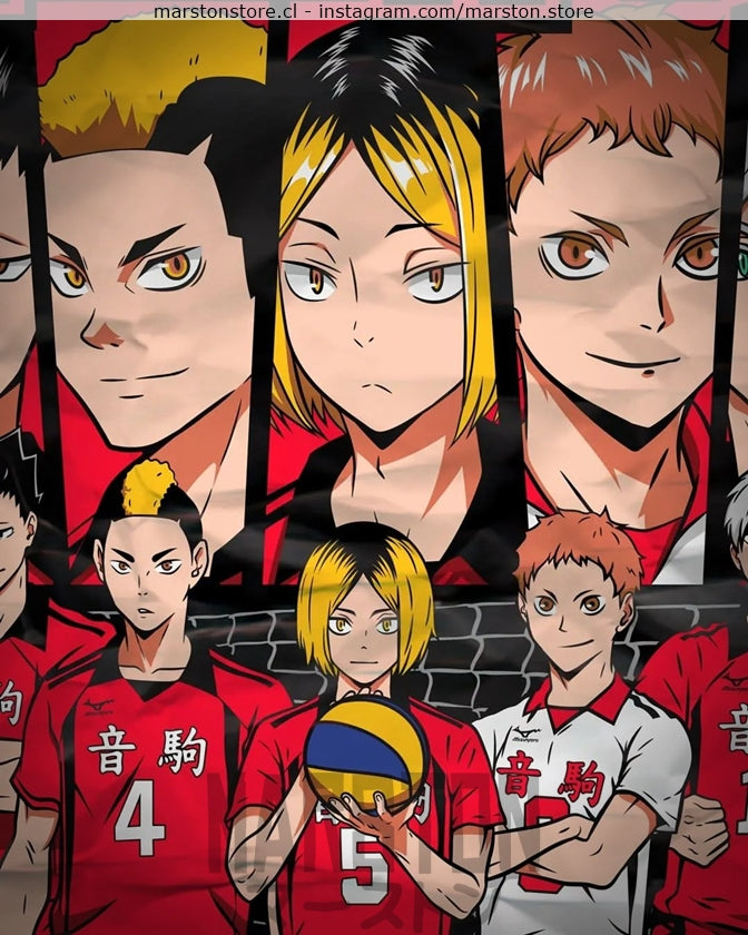 Polerón Haikyuu - Nekoma