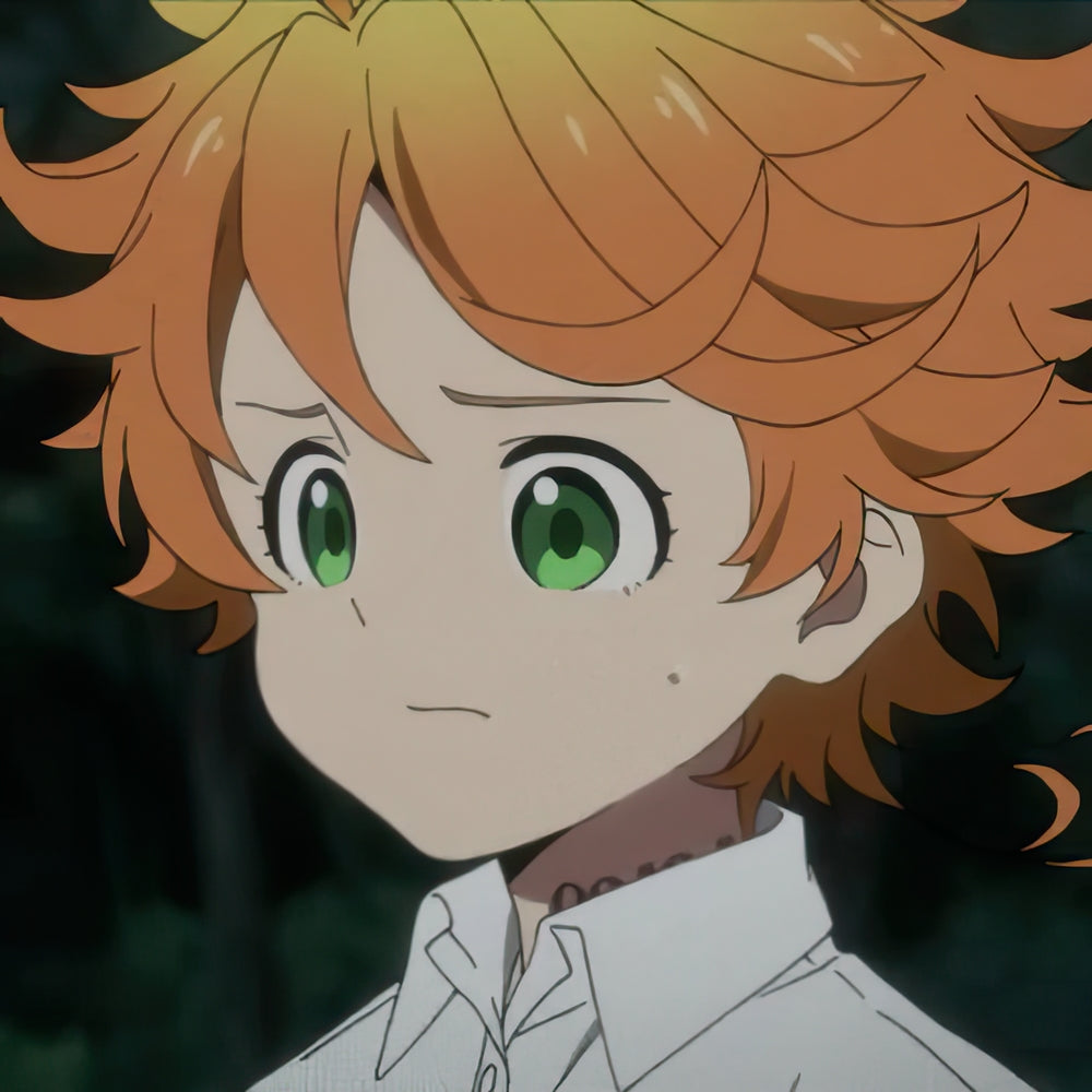 The Promised Neverland