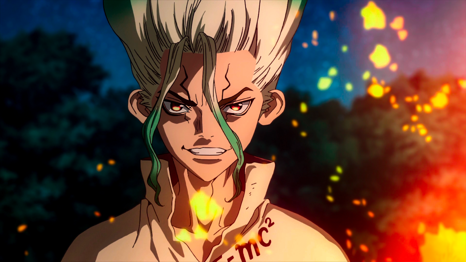 Dr. Stone