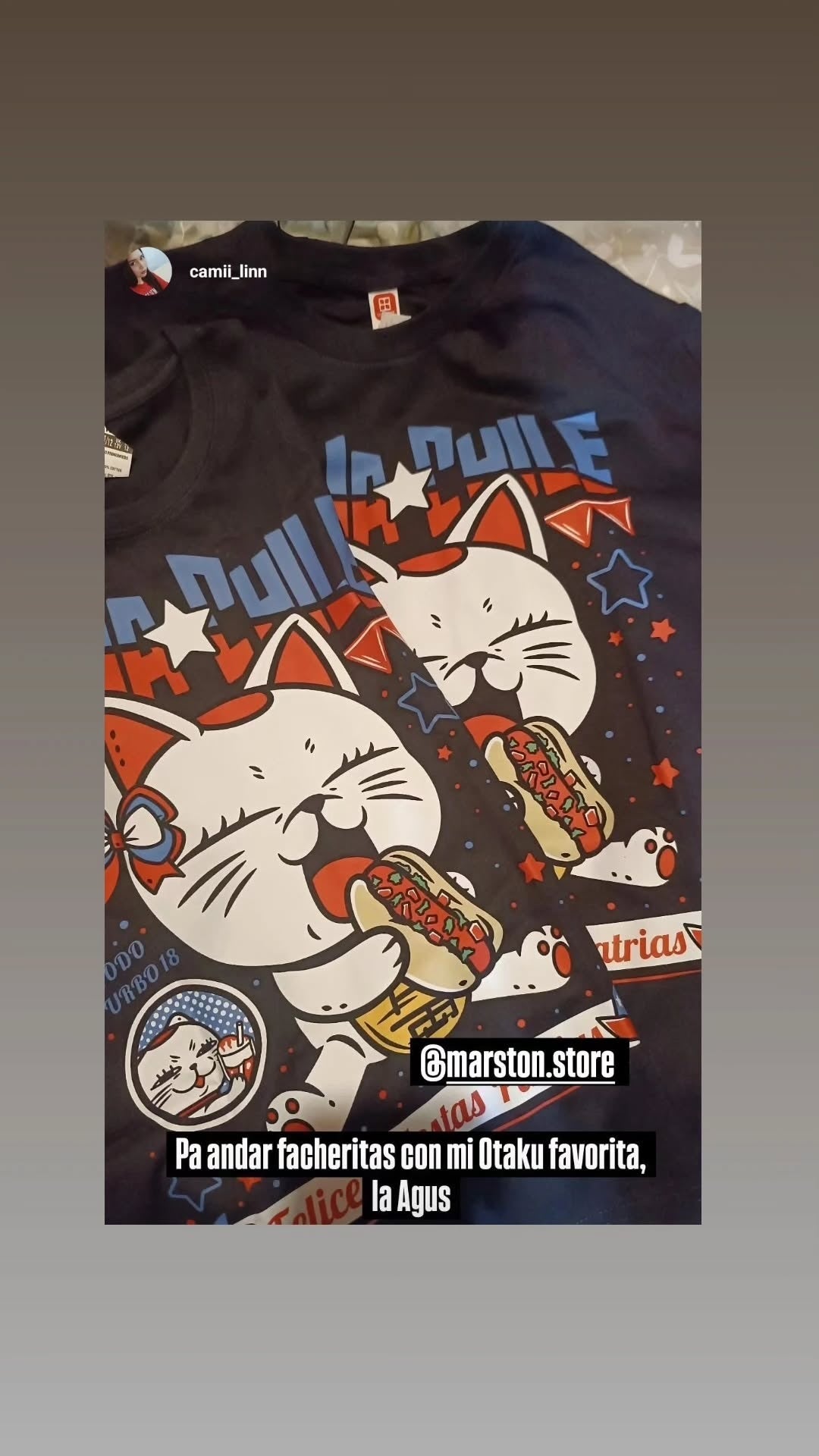 Polera Dandadan - Turbo Abuela Dieciochera - 18 de Septiembre